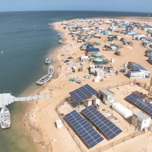 Étude de faisabilité du projet de préservation de la biodiversité marine et côtière de Mauritanie – Volet genre & inégalités/inclusion